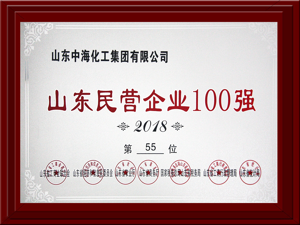 2018年山東名營企業(yè)100強 