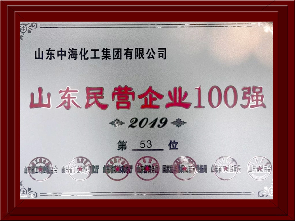 2019山東民營企業(yè)100強