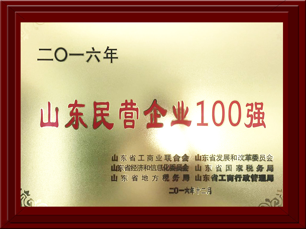 2016.12山東民營企業(yè)100強